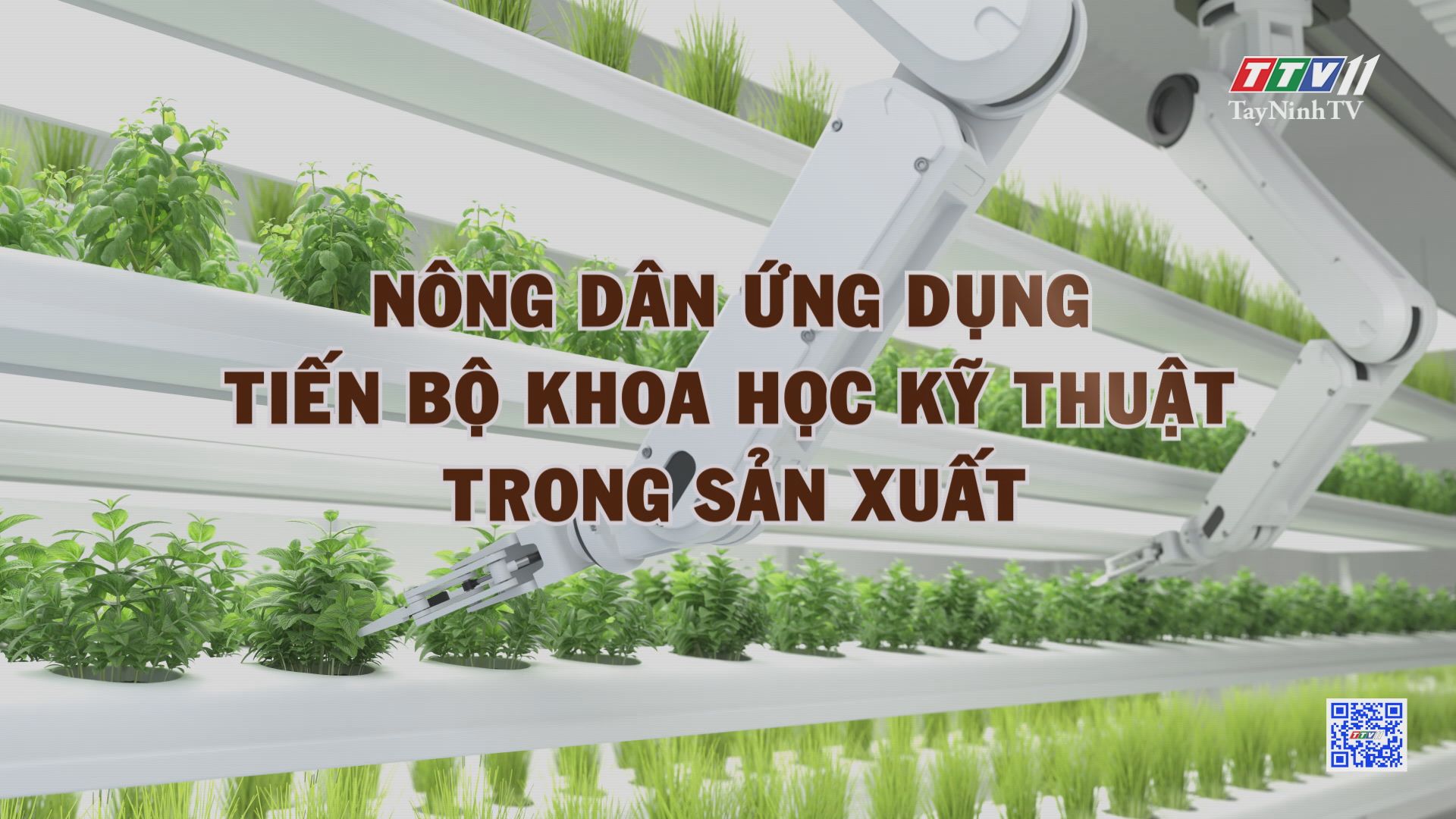 Nông dân ứng dụng tiến bộ khoa học kỹ thuật trong sản xuất | NÔNG NGHIỆP TÂY NINH | TayNinhTV
